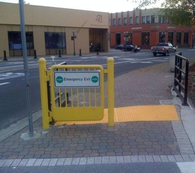 Odd Finds And Situations (49 pics)