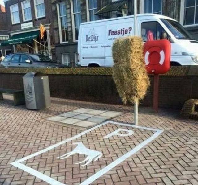 What Is Going On Here? (58 pics)