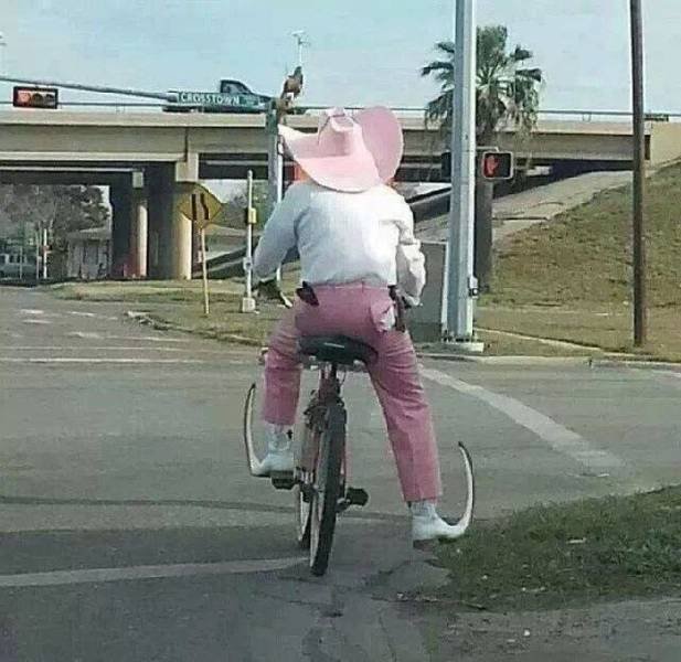 Odd Finds And Situations (49 pics)