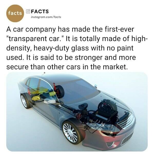 Interesting Facts (22 pics)