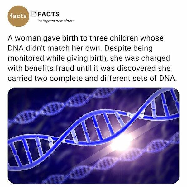 Interesting Facts (22 pics)