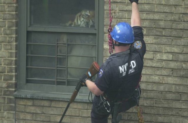 Our World Is Fascinating (33 pics)