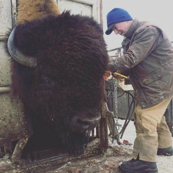 Our World Is Fascinating (33 pics)