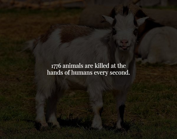 Creepy Facts (15 pics)