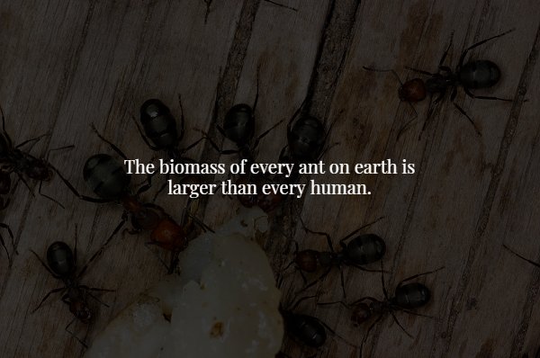 Creepy Facts (15 pics)