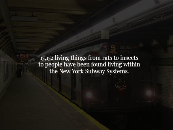 Creepy Facts (15 pics)