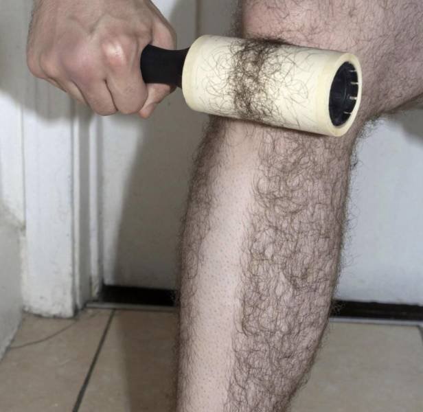 What Is Going On Here? (50 pics)