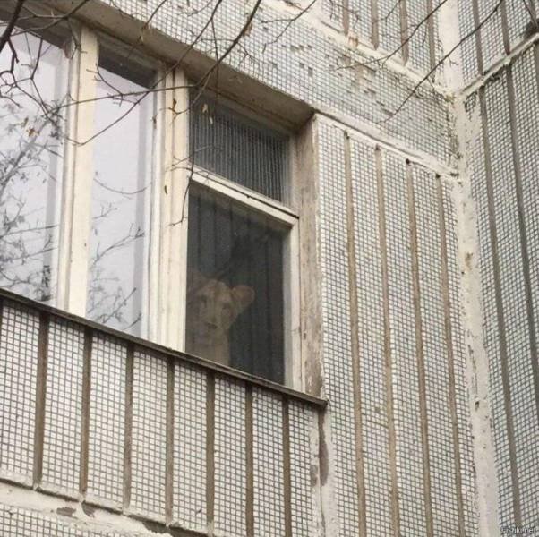 What Is Going On Here? (50 pics)
