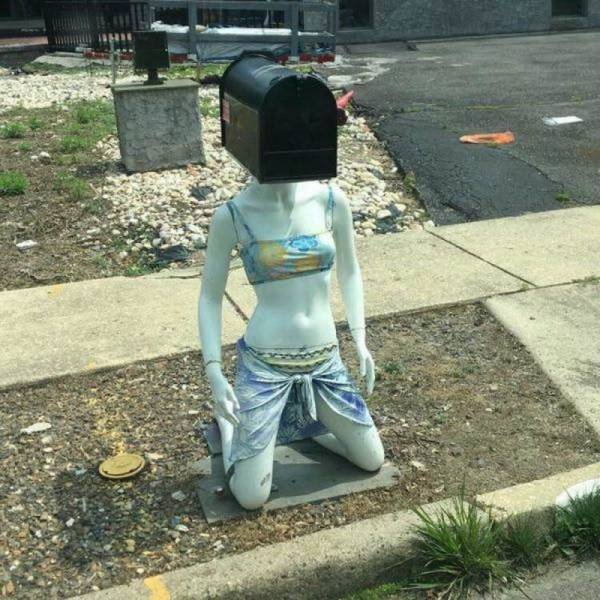What Is Going On Here? (50 pics)