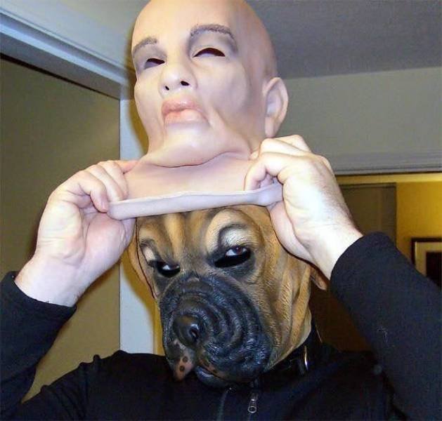 What Is Going On Here? (50 pics)