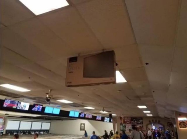 What Is Going On Here? (50 pics)