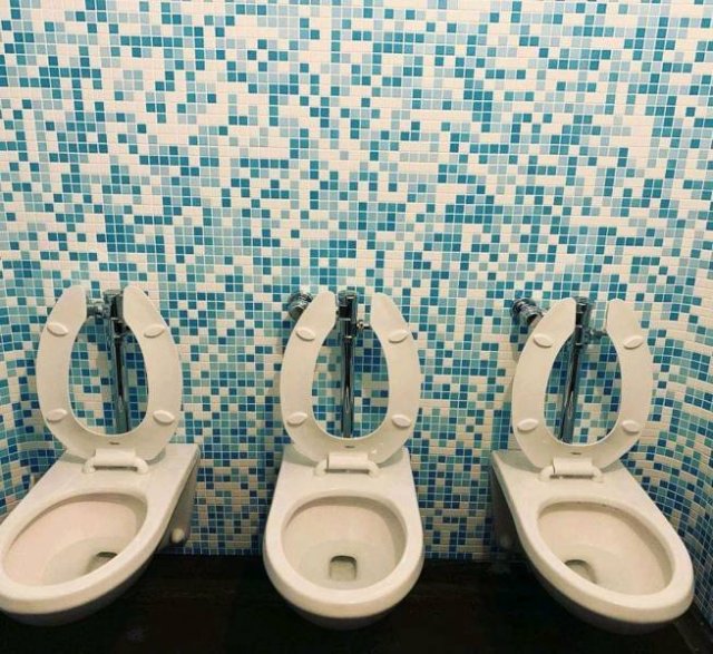 What Is Going On Here? (50 pics)