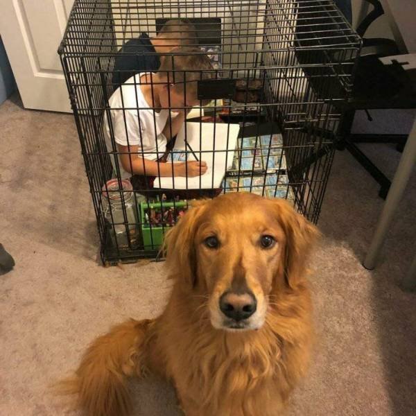 What Is Going On Here? (50 pics)