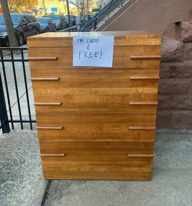 Cool Free Roadside Finds (50 pics)