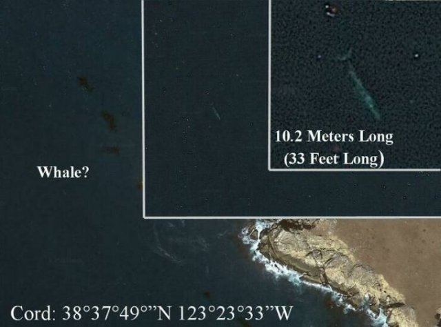 Google Maps ''Anomalies'' (42 pics)