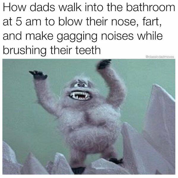 Dad's Memes (28 pics)