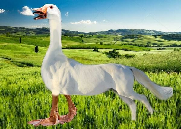 ''Photoshop'' Fails (34 pics) ''Photoshop'' Fails (34 pics)