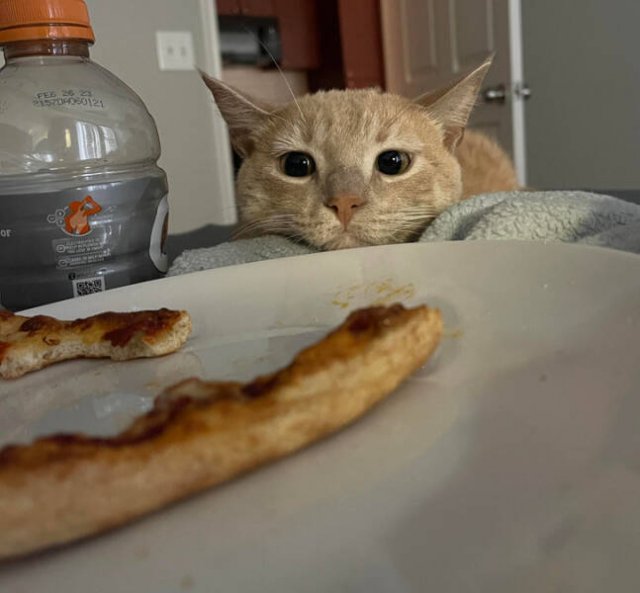 Photos For Good Mood (16 pics)