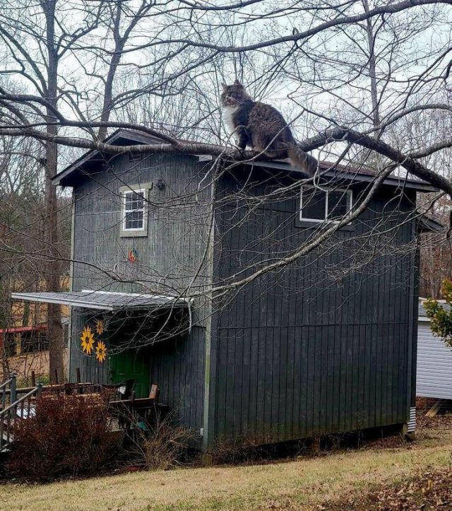 Look Twice (35 pics)