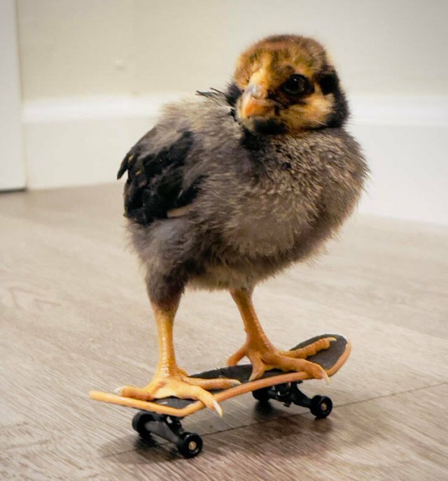 Photos For Good Mood (16 pics)
