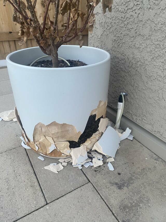 Bad Days Happen (43 pics)