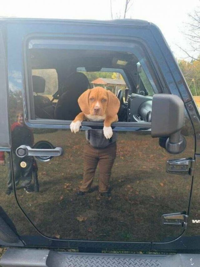 Look Twice (35 pics)