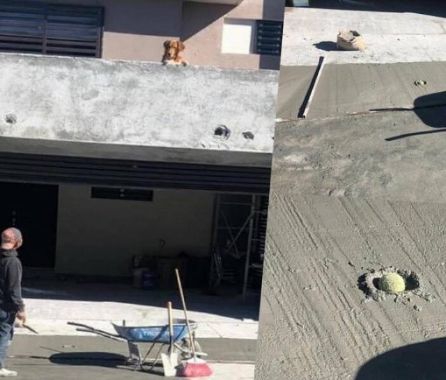 Bad Days Happen (43 pics)