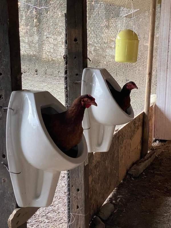 Odd Finds And Situations (30 pics)