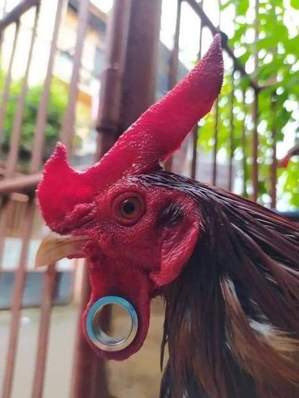 Odd Finds And Situations (30 pics)