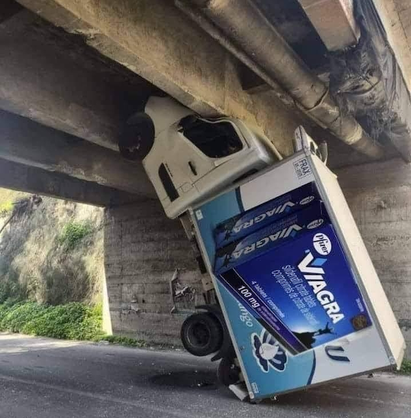 Odd Finds And Situations (30 pics)