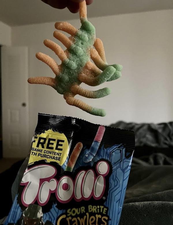 Odd Finds And Situations (30 pics)