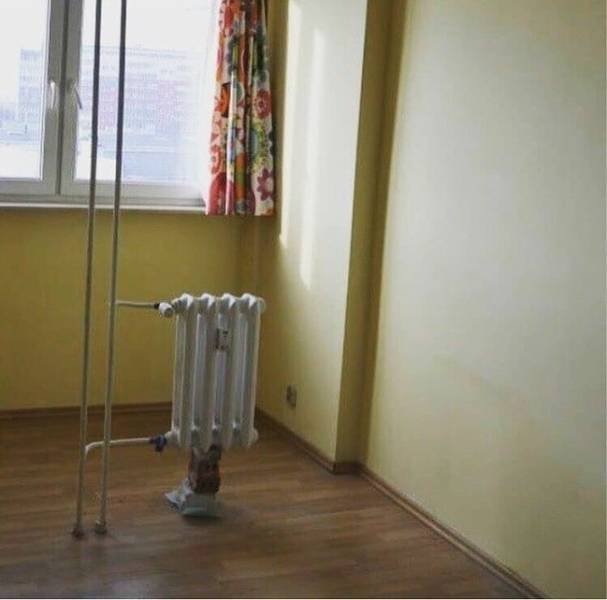 Weird Designs  (21 pics)
