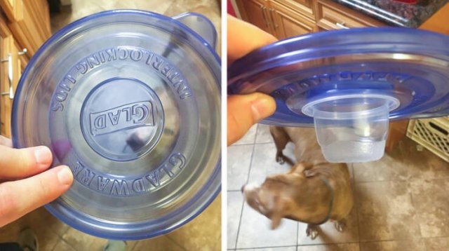 Hidden Secrets In Ordinary Things (12 pics)