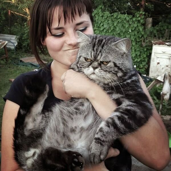 Funny Animals (48 pics)