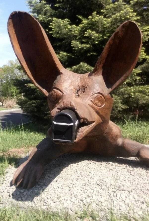 Weird Finds And Situations (43 pics)