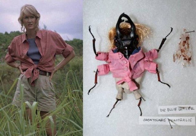 Bad Taste But Good Execution (30 pics)