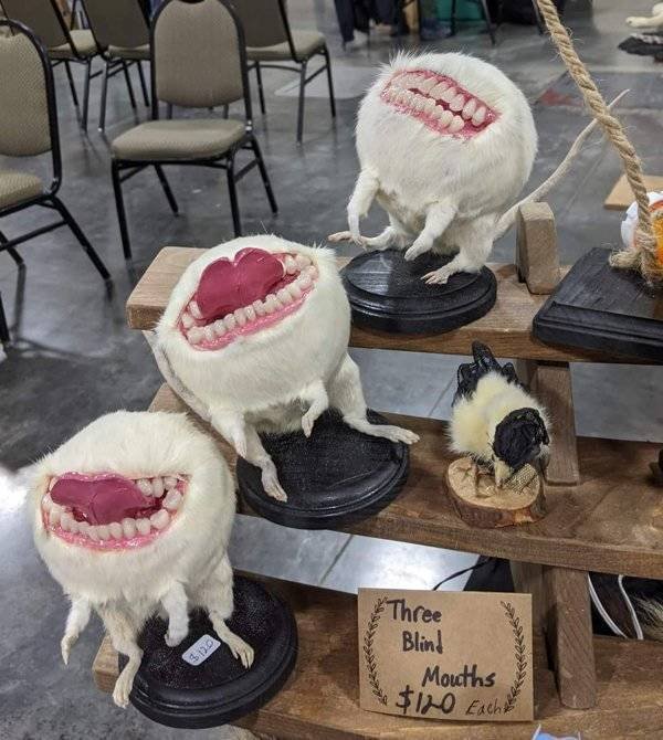 Weird Finds And Situations (43 pics)