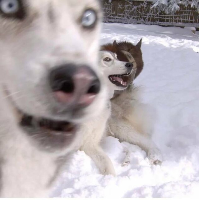Right Moment (33 pics)