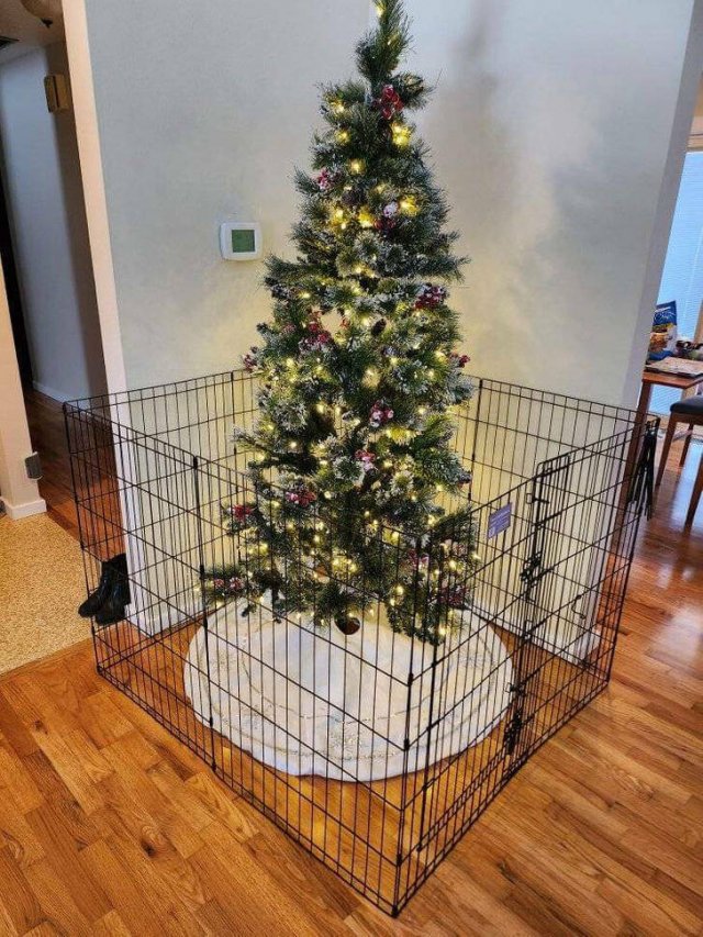 People Who Can Surprise (31 pics) People Who Can Surprise (31 pics)