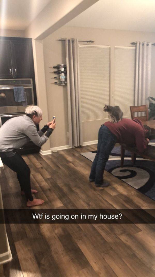 What Is Going On Here? (51 pics)
