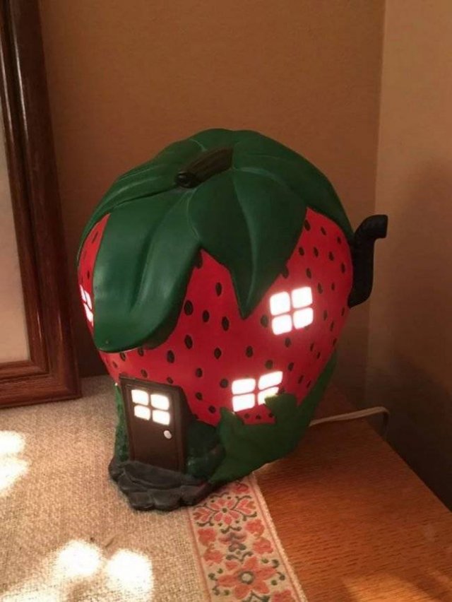 Finds In Thrift Shops (61 pics)