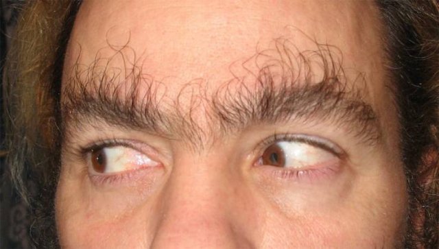 What Is Going On Here? (51 pics)