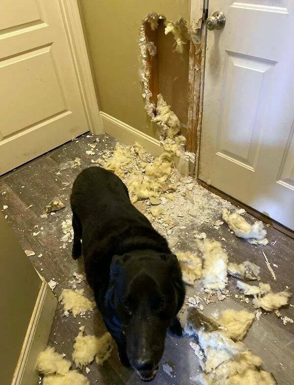 Bad Days Happen (33 pics)