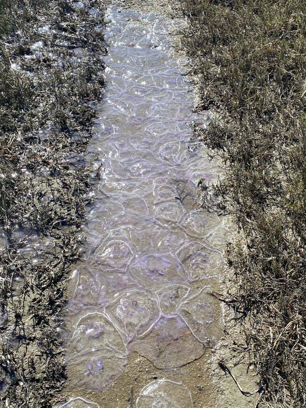 Interesting Discoveries And Finds (44 pics)