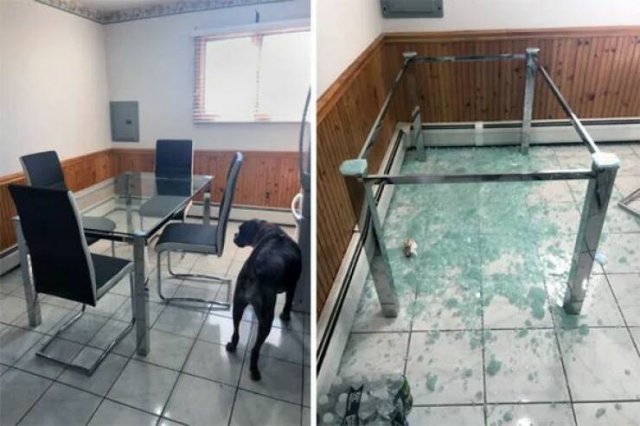Bad Days Happen (33 pics)