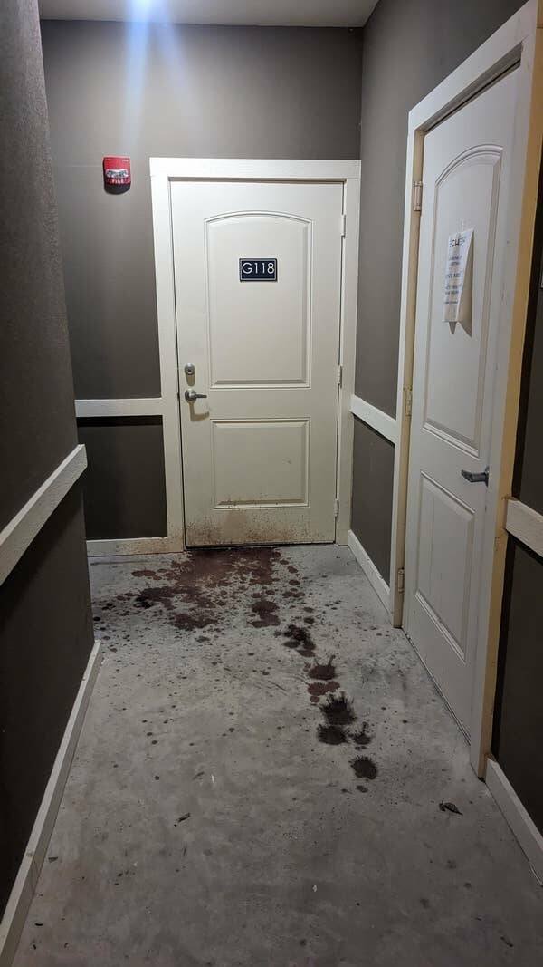 Interesting Discoveries And Finds (44 pics)