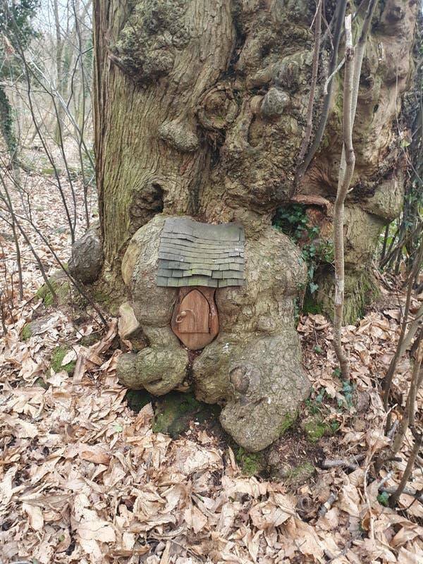 Interesting Discoveries And Finds (44 pics)