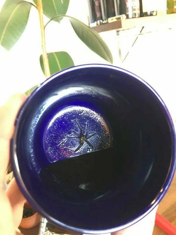 Bad Days Happen (33 pics)
