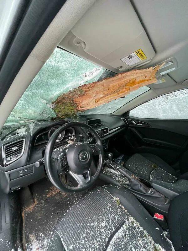 Bad Days Happen (33 pics)