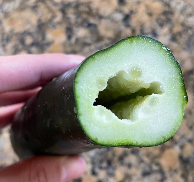 Interesting Discoveries And Finds (44 pics)